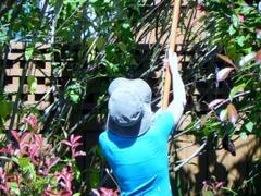 Work Out in Your Backyard on National Gardening Exercise Day